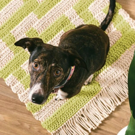 DMC Nova Vita 12. 12 Proyectos De Decoración Para El Hogar 11 DMC Nova Vita 12. 12 Proyectos De Decoración Para El Hogar - Imagen 9