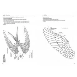 El Cuaderno De Bordado De Juno -Las Tijeras Magicas Tienda el cuaderno de bordado de juno 4