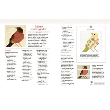 Espléndido Sampler Quilt 6 Espléndido Sampler Quilt - Imagen 4