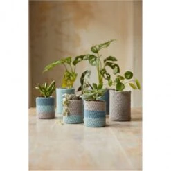 Kit De Crochet - Cuido Mis Plantas - DMC -Las Tijeras Magicas Tienda kit de crochet cuido mis plantas dmc 2