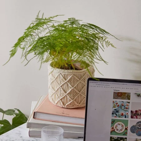 Kit De Macramé - Macetero Bohemia - DMC 3 Kit De Macramé - Macetero Bohemia - DMC