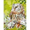 Kit De Pintar Con Números - Owl - Vervaco
