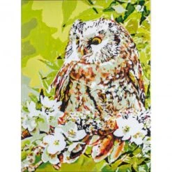 Kit De Pintar Con Números - Owl - Vervaco