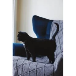 Revista Rowan At Home - By Martin Storey -Las Tijeras Magicas Tienda revista rowan at home by martin storey 3